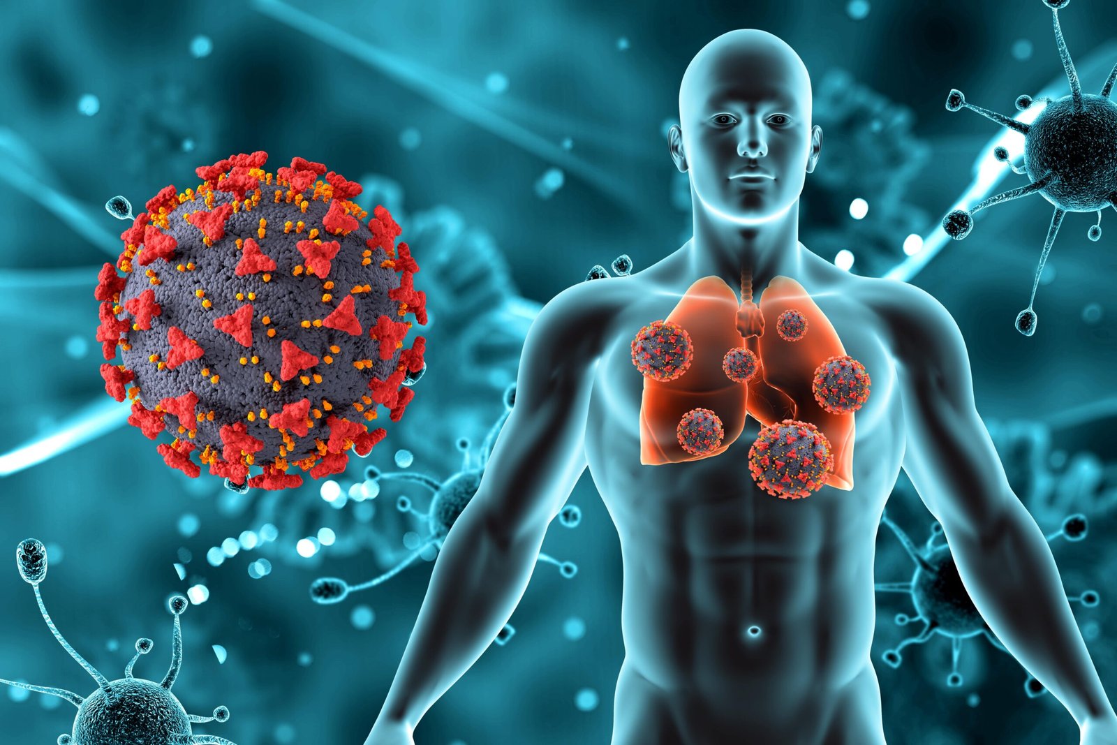 The Hidden Link Between Autoimmune Diseases and Gut Health: A Personal Journey to Healing