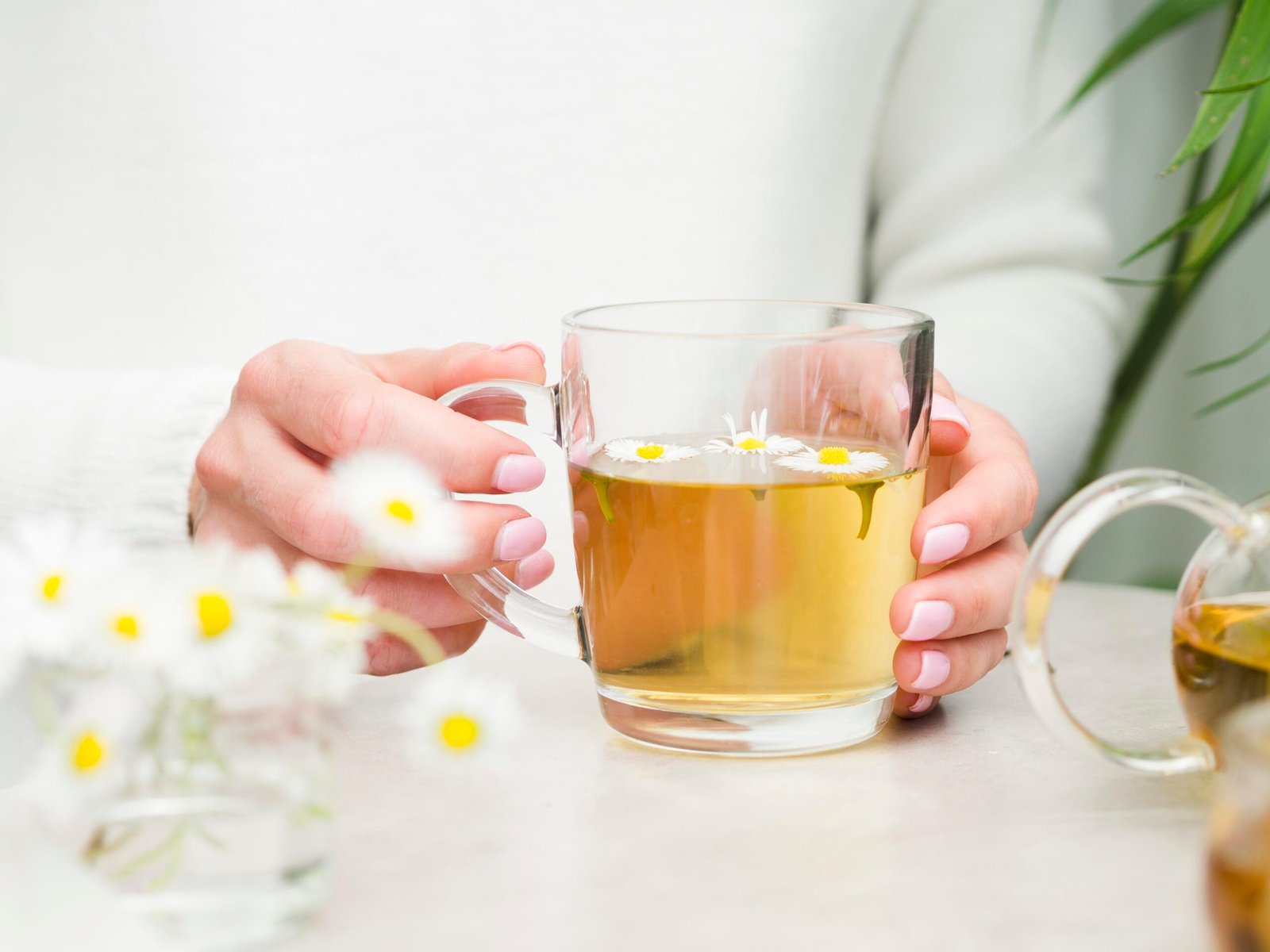 Tea for Bloating: 7 Proven Teas That Relieve Discomfort Quickly